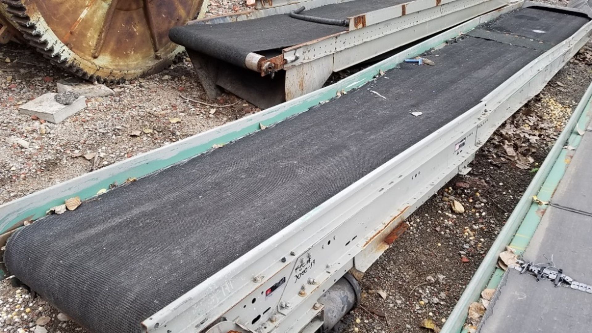 36" X 288" Roach Conveyor