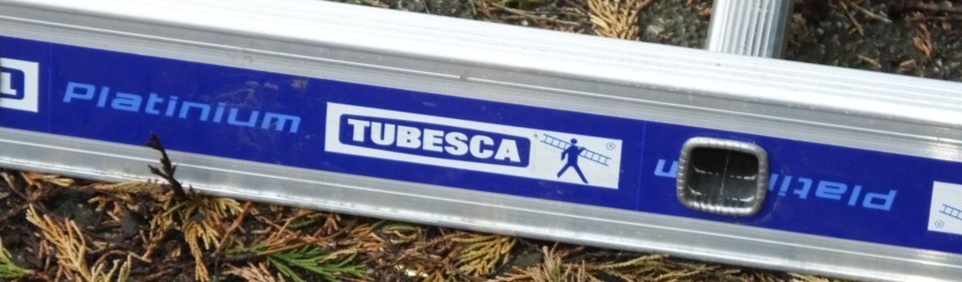 Tubesca Platinum 20 rung ladder - Image 2 of 4