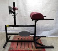 Multi - Function Training Unit - Ab Crunch, Dips & Lower Back Extension