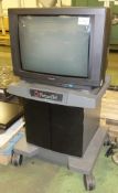 TV with Stand.