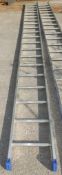 Tubesca Platinum 20 rung ladder