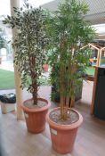 PAIR OF TERRACOTTA POTTED ARTIFICIAL PLANTS