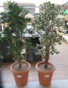 PAIR OF TERRACOTTA POTTED ARTIFICIAL PLANTS