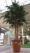 LARGE TERRACOTTA POTTED ARTIFICIAL TREE