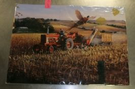 Tin Sign 700 x 500 - Farmall Tractor
