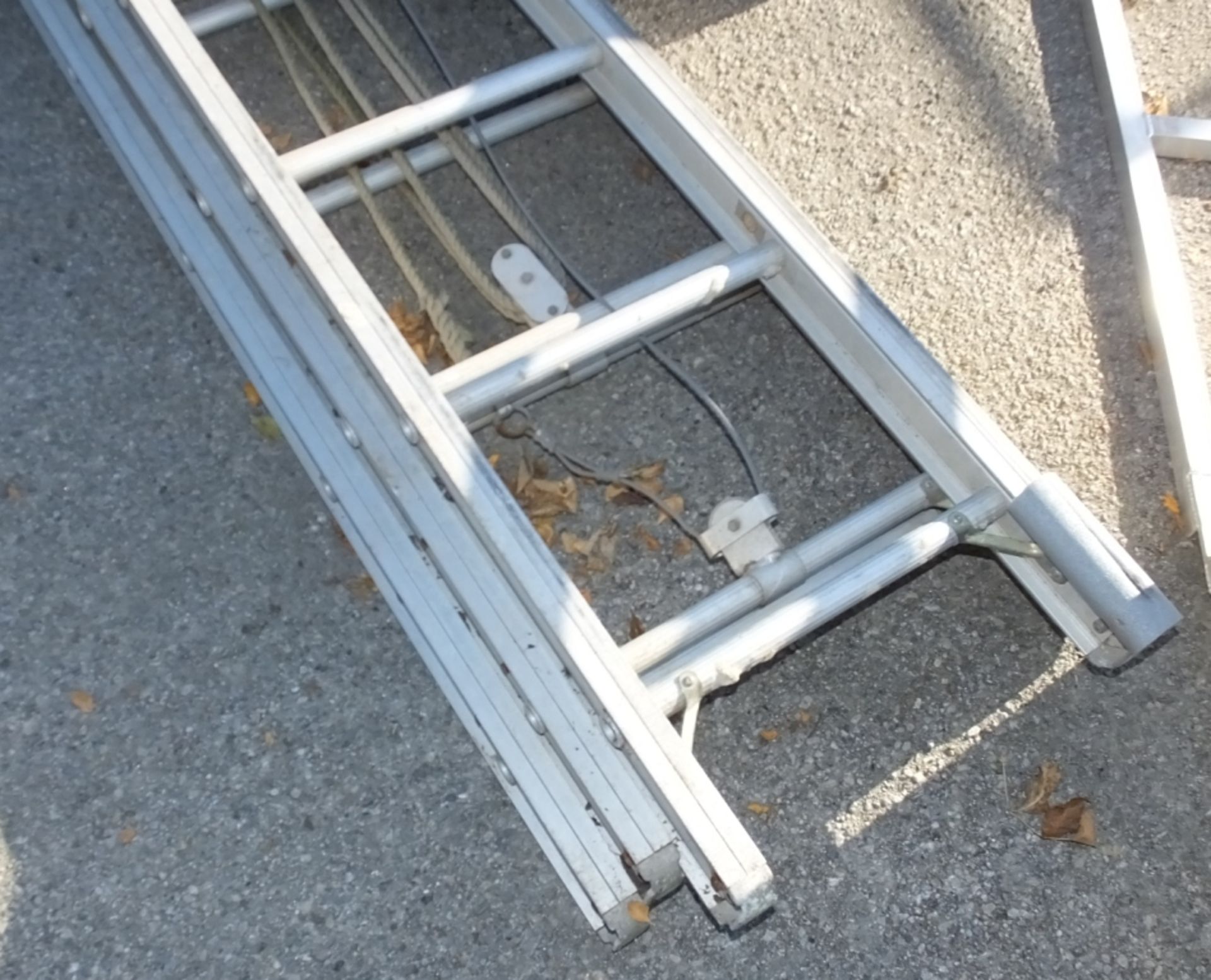 3 Section 12 rung ladder - Image 2 of 3