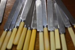 A group of nineteen late 19th/early 20th century bone-handled dinner knives