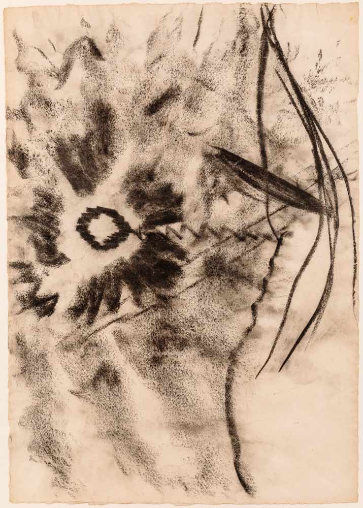 Herbert Brandl Graz 1959 * Ohne Titel / untitled Kohlestift auf Papier / carbon pencil on paper 79,5