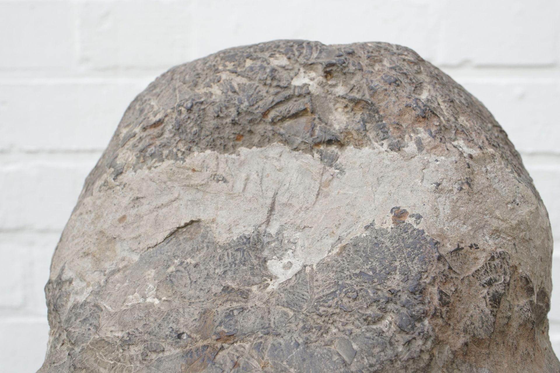 A Chinese carved limestone head of Buddha, Northern Wei (386-535) - Image 17 of 27