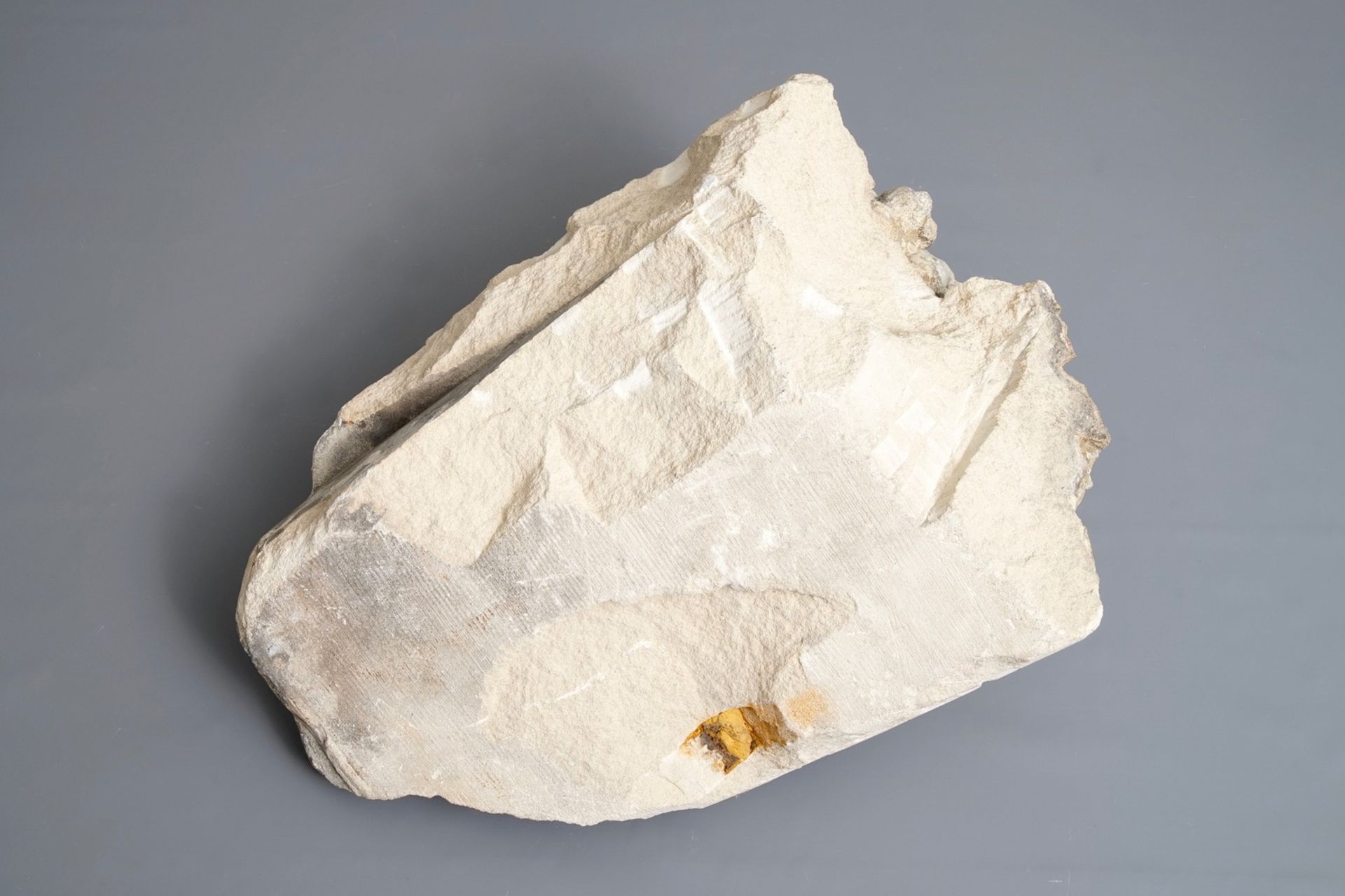 A carved stone wall fragment of a cherub's head with wing, 17/18th C. - Image 6 of 6