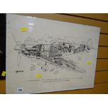 A framed sectioned drawing of the super marine Spitfire single seat fighter RAF