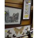 Two framed butterfly specimens together with another print