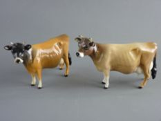 TWO BESWICK POTTERY JERSEY COWS no. 1345 'Champion Newton Tinkle', two different colourways, one