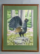 ANTHONY SMITH watercolour - a calling ptarmigan standing on a tree stump in a woodland, signed and
