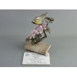 AN ALBANY FINE CHINA BLUE TIT, bronze and porcelain study from the Titmice Series, on a