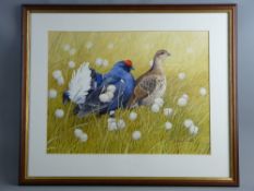 ANTHONY SMITH watercolour - a black grouse and a female in alert mode, signed, 38 x 50 cms