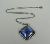 A 1920s SILVER PENDANT & NECKLACE with iridescent butterfly-wing under domed glass, marked 'silver'