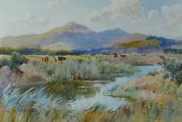 W MATHIESON watercolour - cattle grazing near river, signed, 18 x 26cms