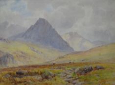 CLINTON JONES watercolour - view of Tryfan, Snowdonia with cattle and brook, signed, 24 x 33cms