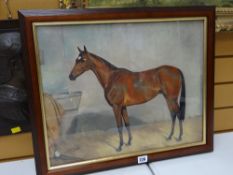 Oil on card of a race horse ATTRIBUTED TO JOHN ARNOLD ALFRED WHEELER, signed
