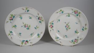 A PAIR OF SWANSEA PORCELAIN DUCK EGG PLATES decorated with sprigs of open & closed roses (gilding
