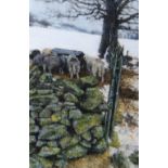 KEITH BOWEN pastel - sheep feeding in trough in snow, signed, 36 x 24cms