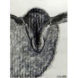 JAKE SUTTON charcoal drawing - head of a charolais sheep, signed & dated 2008, 74 x 54cms