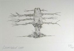 LAURA FORD etching - tree-form figure, entitled 'Espaliered Girl', signed & dated 2007, 18 x 28cms