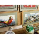 Two framed woolwork studies of pheasants