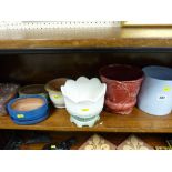 Collection of pottery planters