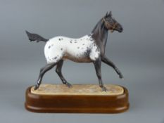 ROYAL WORCESTER EQUESTRIAN MODEL 'Appaloosa Stallion 1969', by Doris Lindner, on a wooden base,