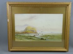 WATERCOLOUR STUDY - sea birds off a rocky coast, indistinctly signed possibly 'Matherson', 24.5 x 41