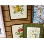 Pair of framed Redoute rose prints and another, a framed print 'The Forebears' and a framed map of
