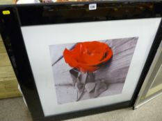 Large black framed modern print of a red rose
