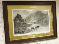 J GRAHAM CAMPBELL oak framed print - Highland cattle titled 'A Summer's Morning'