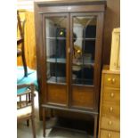An Edwardian mahogany & decorated two-door display cabinet on raised feet with lower shelf