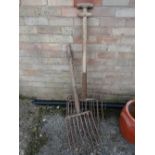 Three vintage dung forks (outside)