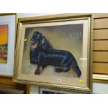 Framed mixed media portrait of Smartie the long haired dachshund, signed ALFRED THOMAS, dated 1981