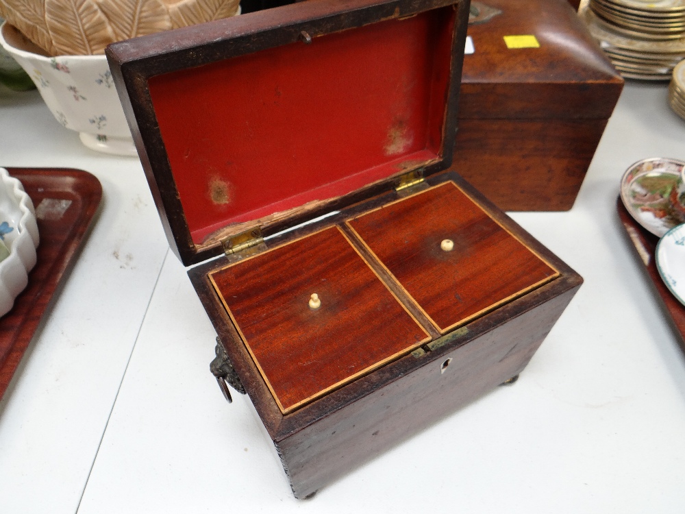 Small Georgian mahogany tea caddy with ivory inlay & lion head handles - Image 2 of 2