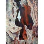 JANIS FRY acrylic on canvas - study of a hollowed ancient yew tree entitled verso 'Heart of Fire',