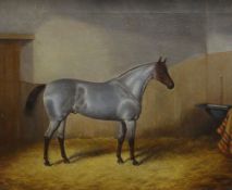 JAMES CLARK (1858-1909) oil on canvas - portrait of a silver-grey and chestnut gelding standing in a
