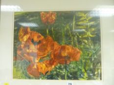 ABELL watercolour - study of poppies