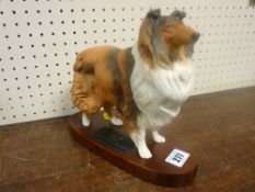 Connoisseur model by Beswick, England of a 'Collie (Rough'