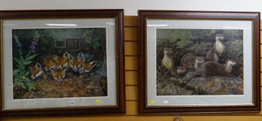 Two large wildlife prints, one of a group of foxes, the other a group of otters