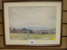 WILLIAM HERBERT ALLEN watercolour - expansive landscape scene