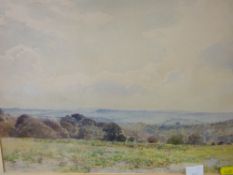 WILLIAM HERBERT ALLEN watercolour - expansive landscape scene