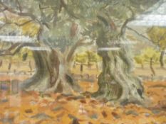 JANE GLASFORD watercolour - titled 'Olive Trees, Ibiza' with price seven guineas