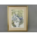 ANN FELLOWS watercolour - titled 'Secret Waterfall', 30 x 21 cms SIGNED