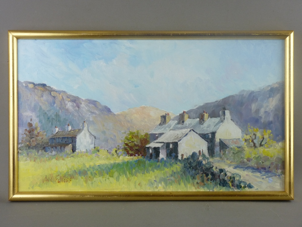 ANN FELLOWS oil on board - titled 'Welsh Cottages', 28.5 x 50 cms SIGNED