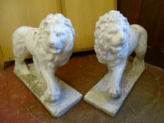 A PAIR OF RECONSTITUTED STONE & PAINTED ORNAMENTAL STANDING LIONS, 56 cms high, 75 cms long